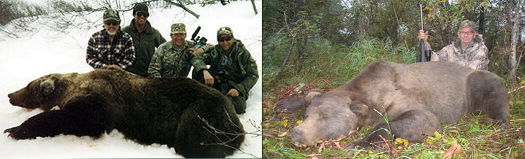 Alaska Private Guide Service Brown Bear Hunt References